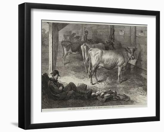 Prize Jersey Cows at the Bath and West of England Agricultural Show at Southampton-George Bouverie Goddard-Framed Giclee Print