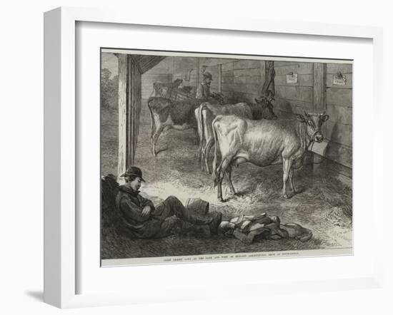 Prize Jersey Cows at the Bath and West of England Agricultural Show at Southampton-George Bouverie Goddard-Framed Giclee Print