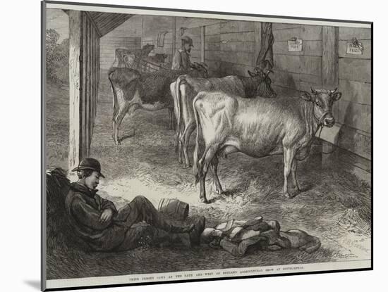 Prize Jersey Cows at the Bath and West of England Agricultural Show at Southampton-George Bouverie Goddard-Mounted Giclee Print