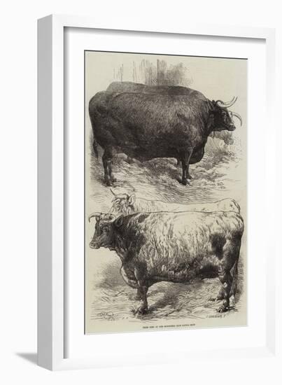 Prize Oxen at the Smithfield Club Cattle Show-Harrison William Weir-Framed Giclee Print