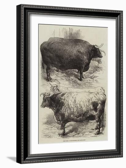 Prize Oxen at the Smithfield Club Cattle Show-Harrison William Weir-Framed Giclee Print