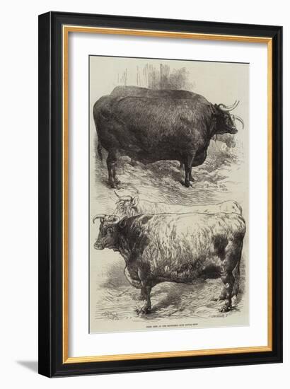 Prize Oxen at the Smithfield Club Cattle Show-Harrison William Weir-Framed Giclee Print