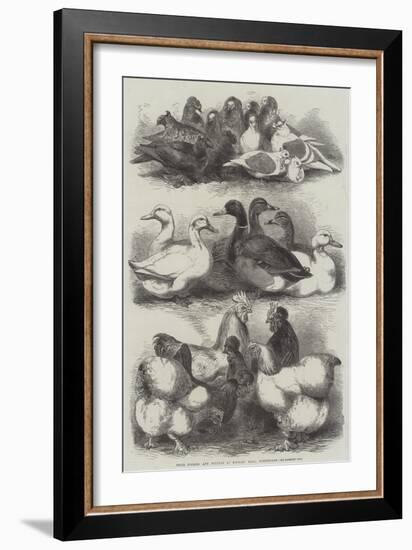 Prize Pigeons and Poultry at Bingley Hall, Birmingham-Harrison William Weir-Framed Giclee Print