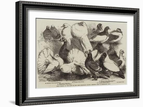 Prize Pigeons at the Show of the Philo-Peristeron Society, Recently Held in Freemasons' Hall-Harrison William Weir-Framed Giclee Print