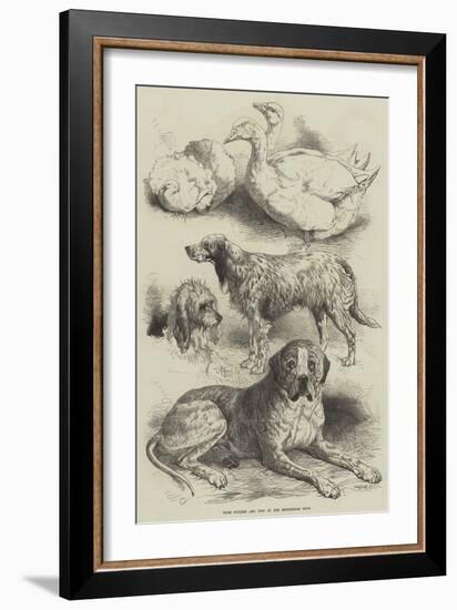 Prize Poultry and Dogs at the Birmingham Show-Harrison William Weir-Framed Giclee Print