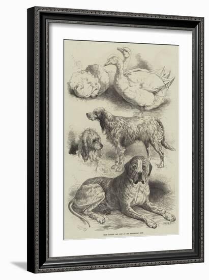 Prize Poultry and Dogs at the Birmingham Show-Harrison William Weir-Framed Giclee Print