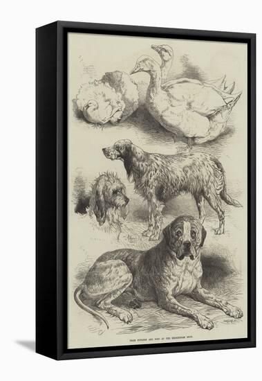 Prize Poultry and Dogs at the Birmingham Show-Harrison William Weir-Framed Premier Image Canvas
