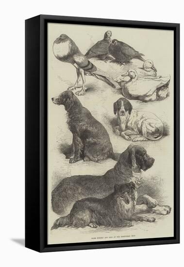 Prize Poultry and Dogs at the Birmingham Show-Harrison William Weir-Framed Premier Image Canvas