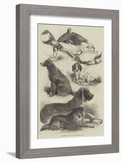 Prize Poultry and Dogs at the Birmingham Show-Harrison William Weir-Framed Giclee Print