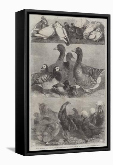 Prize Poultry and Pigeons at the Birmingham Exhibition-Harrison William Weir-Framed Premier Image Canvas