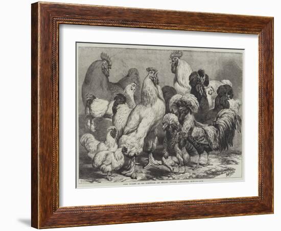 Prize Poultry at the Birmingham and Midland Counties Agricultural Show-Samuel John Carter-Framed Giclee Print