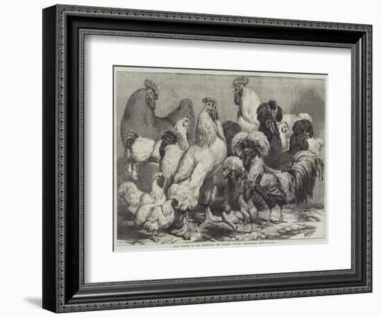 Prize Poultry at the Birmingham and Midland Counties Agricultural Show-Samuel John Carter-Framed Giclee Print