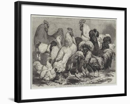 Prize Poultry at the Birmingham and Midland Counties Agricultural Show-Samuel John Carter-Framed Giclee Print