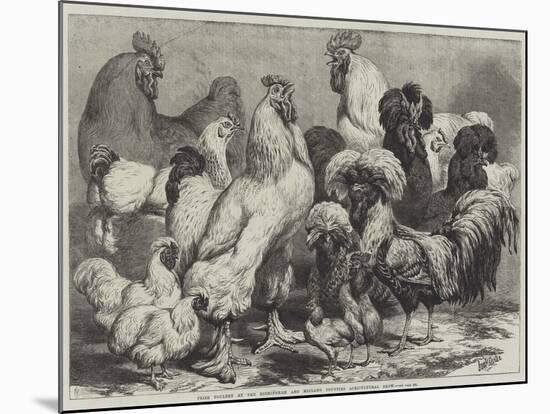 Prize Poultry at the Birmingham and Midland Counties Agricultural Show-Samuel John Carter-Mounted Giclee Print