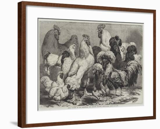 Prize Poultry at the Birmingham and Midland Counties Agricultural Show-Samuel John Carter-Framed Giclee Print