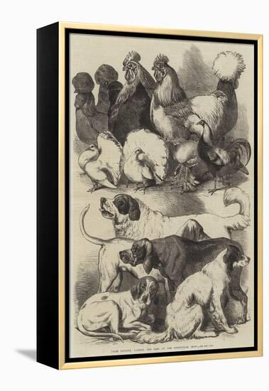 Prize Poultry, Pigeons, and Dogs at the Birmingham Show-Harrison William Weir-Framed Premier Image Canvas