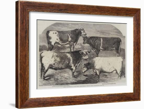 Prize Shorthorns at the Royal Agricultural Society's Show, Canterbury-Harrison William Weir-Framed Giclee Print