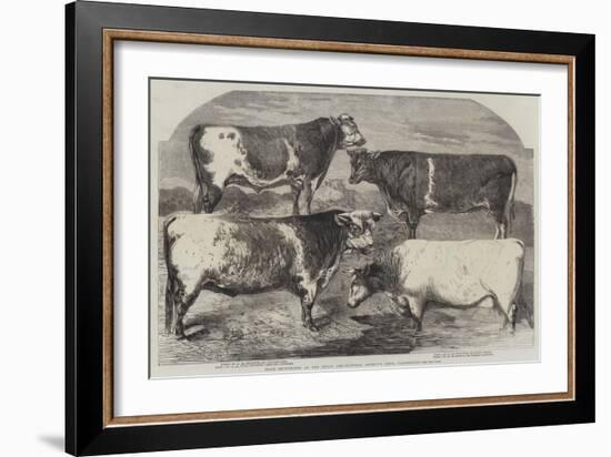 Prize Shorthorns at the Royal Agricultural Society's Show, Canterbury-Harrison William Weir-Framed Giclee Print