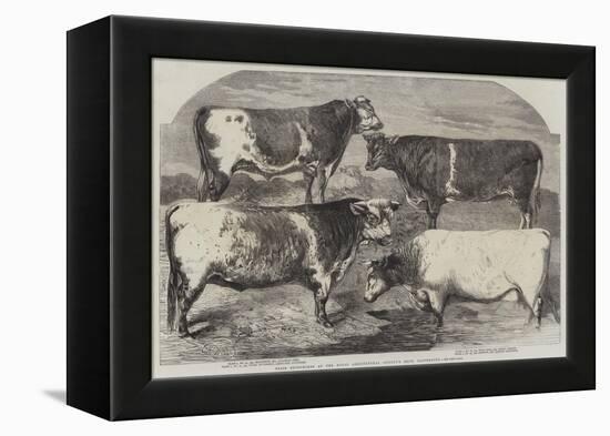 Prize Shorthorns at the Royal Agricultural Society's Show, Canterbury-Harrison William Weir-Framed Premier Image Canvas