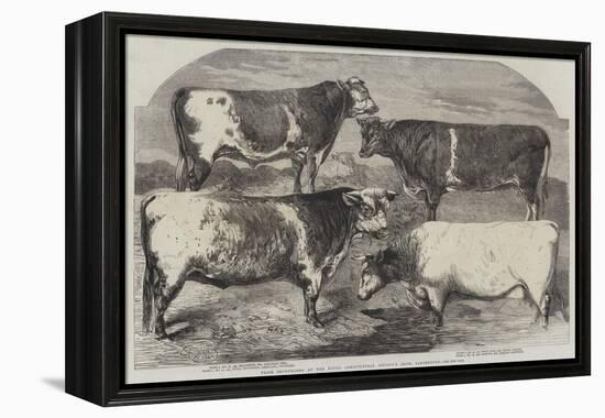 Prize Shorthorns at the Royal Agricultural Society's Show, Canterbury-Harrison William Weir-Framed Premier Image Canvas