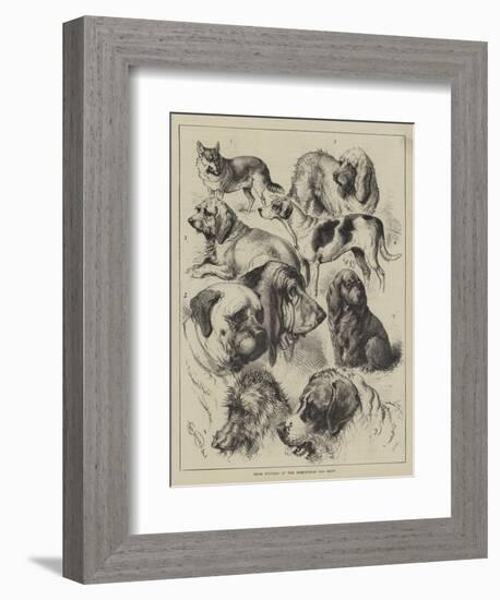 Prize Winners at the Birmingham Dog Show-null-Framed Giclee Print