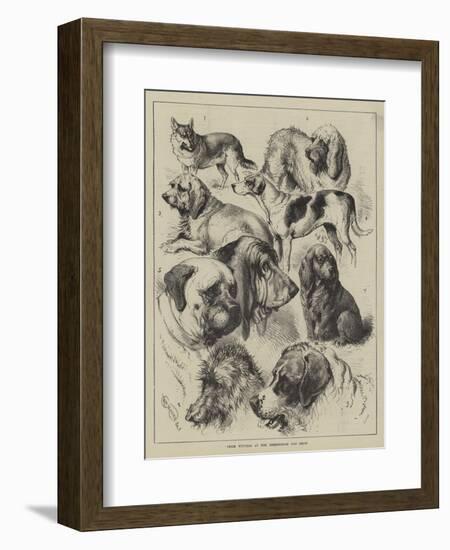 Prize Winners at the Birmingham Dog Show-null-Framed Giclee Print