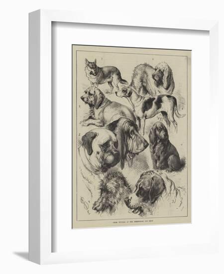 Prize Winners at the Birmingham Dog Show-null-Framed Giclee Print