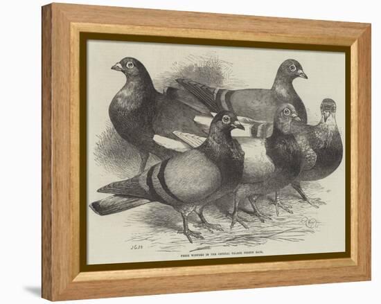 Prize Winners in the Crystal Palace Pigeon Race-Harrison William Weir-Framed Premier Image Canvas