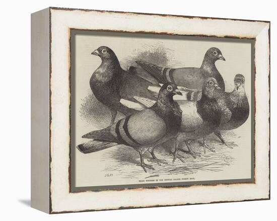 Prize Winners in the Crystal Palace Pigeon Race-Harrison William Weir-Framed Premier Image Canvas