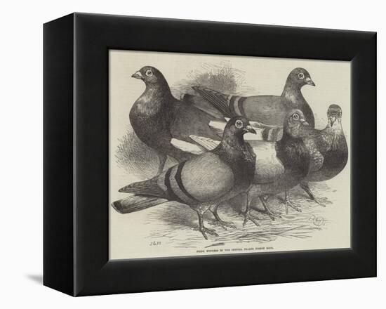 Prize Winners in the Crystal Palace Pigeon Race-Harrison William Weir-Framed Premier Image Canvas