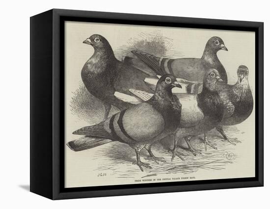 Prize Winners in the Crystal Palace Pigeon Race-Harrison William Weir-Framed Premier Image Canvas