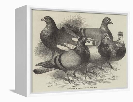 Prize Winners in the Crystal Palace Pigeon Race-Harrison William Weir-Framed Premier Image Canvas