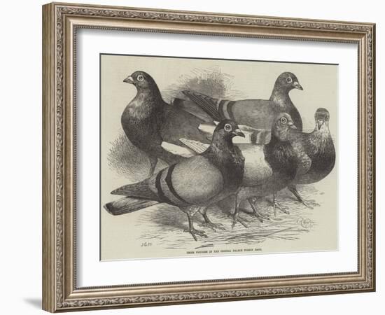 Prize Winners in the Crystal Palace Pigeon Race-Harrison William Weir-Framed Giclee Print