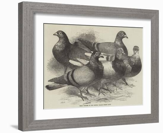 Prize Winners in the Crystal Palace Pigeon Race-Harrison William Weir-Framed Giclee Print