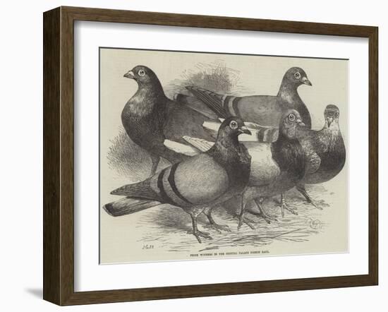 Prize Winners in the Crystal Palace Pigeon Race-Harrison William Weir-Framed Giclee Print