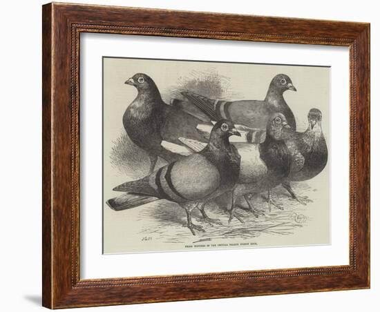 Prize Winners in the Crystal Palace Pigeon Race-Harrison William Weir-Framed Giclee Print