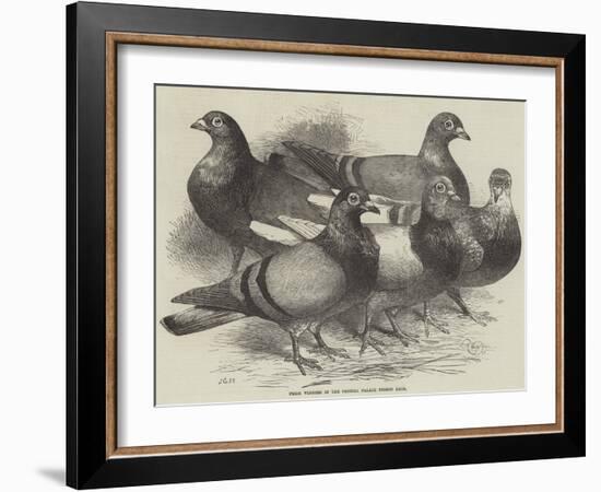 Prize Winners in the Crystal Palace Pigeon Race-Harrison William Weir-Framed Giclee Print