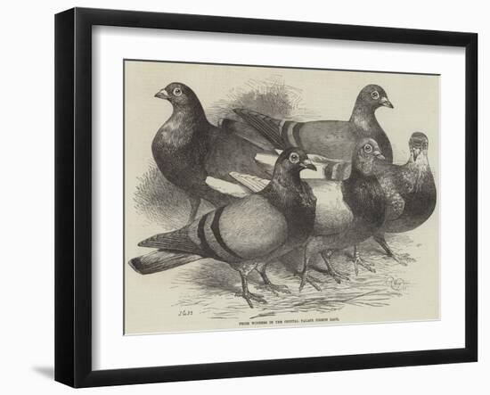 Prize Winners in the Crystal Palace Pigeon Race-Harrison William Weir-Framed Giclee Print