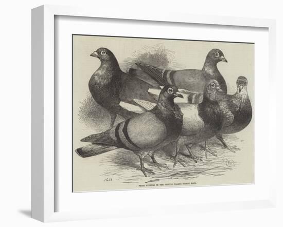 Prize Winners in the Crystal Palace Pigeon Race-Harrison William Weir-Framed Giclee Print