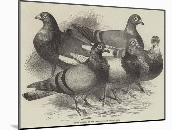 Prize Winners in the Crystal Palace Pigeon Race-Harrison William Weir-Mounted Giclee Print