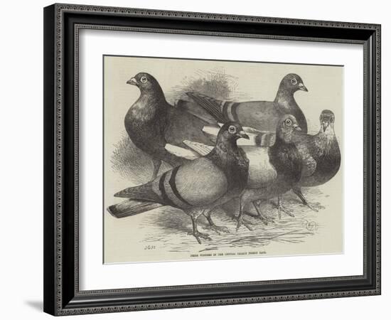 Prize Winners in the Crystal Palace Pigeon Race-Harrison William Weir-Framed Giclee Print