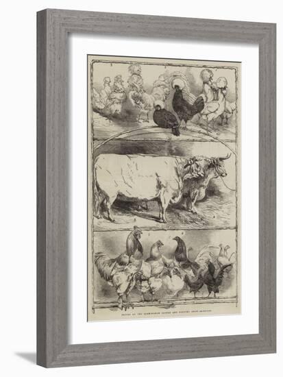 Prizes at the Birmingham Cattle and Poultry Show-Harrison William Weir-Framed Giclee Print