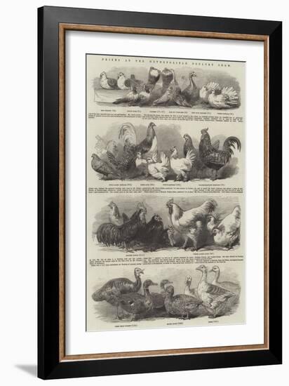 Prizes at the Metropolitan Poultry Show-null-Framed Giclee Print