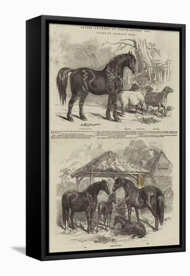 Prizes Awarded at Northampton, 1847-Harrison William Weir-Framed Premier Image Canvas