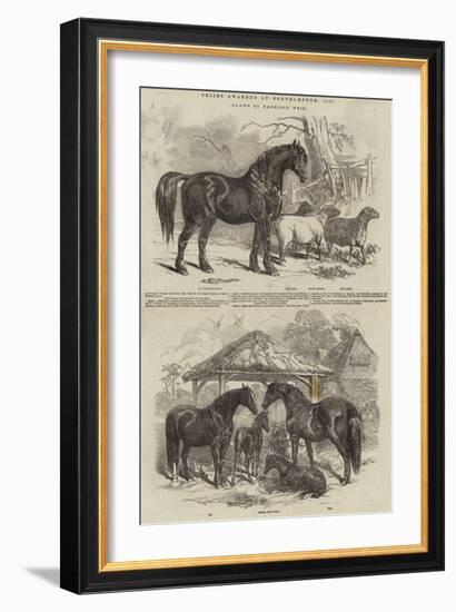 Prizes Awarded at Northampton, 1847-Harrison William Weir-Framed Giclee Print