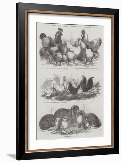 Prizes from the Great Metropolitan Poultry Show-Harrison William Weir-Framed Giclee Print