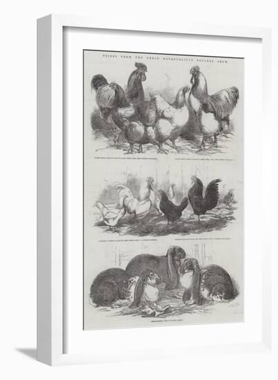 Prizes from the Great Metropolitan Poultry Show-Harrison William Weir-Framed Giclee Print