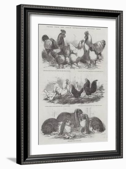 Prizes from the Great Metropolitan Poultry Show-Harrison William Weir-Framed Giclee Print