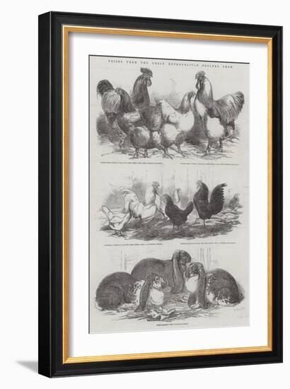 Prizes from the Great Metropolitan Poultry Show-Harrison William Weir-Framed Giclee Print
