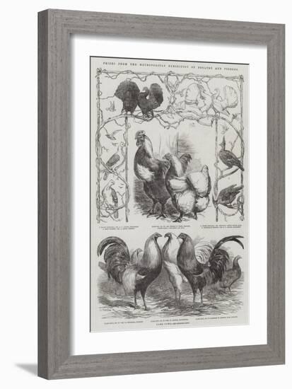 Prizes from the Metropolitan Exhibition of Poultry and Pigeons-Harrison William Weir-Framed Giclee Print